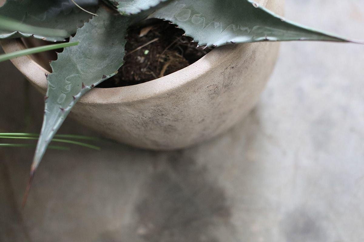 Repotting a plant into an unglazed clay pot