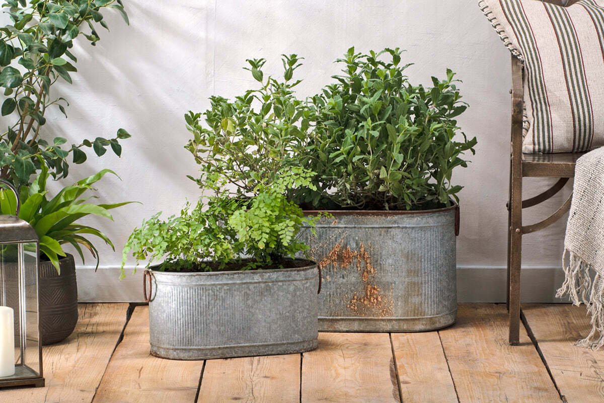 Aged zinc outdoor planters weathering in the rain