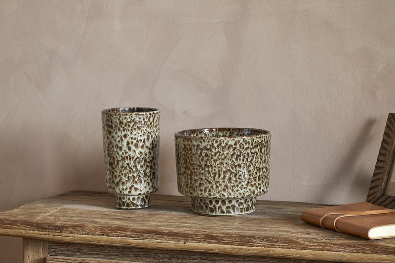 Ceramic & Terracotta Planters